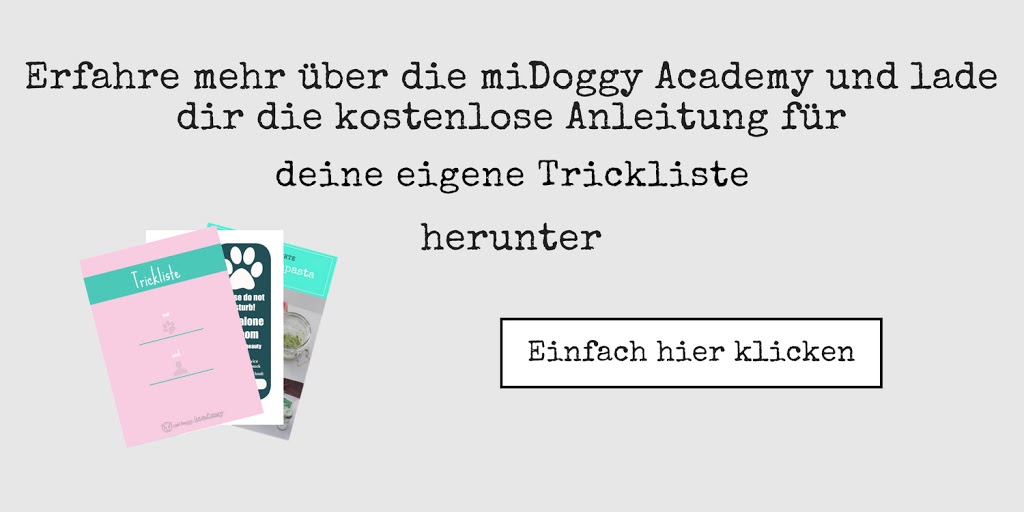 https://community.midoggy.de/midoggy-academy-sammlung-anmeldung/