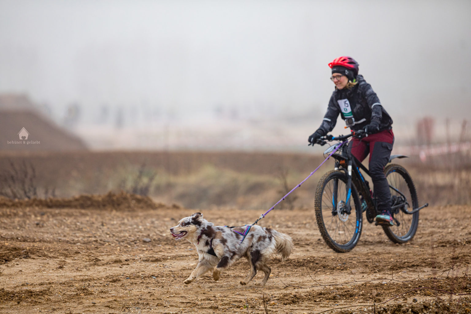 Canicross/Bikejöring Ausrüstung Update behütet & geliebt